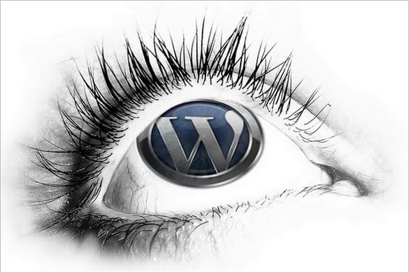 Apa itu Wordpress & kelebihannya dibanding platform lain? 3 Apa Itu WordPress dan Kelebihannya Dibanding Platform Lain