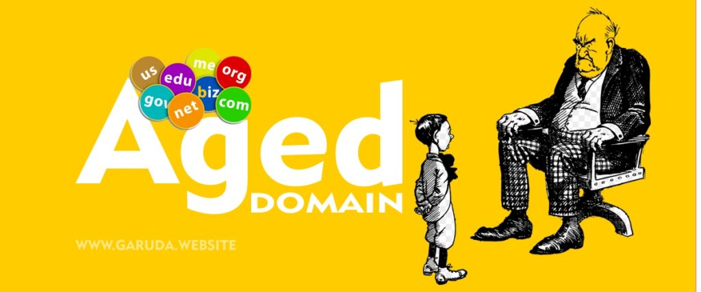Apa itu Aged Domain