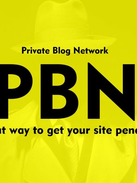 Apa Itu PBN - Private Blog Network - Fungsi Dan Manfaatnya Untuk SEO