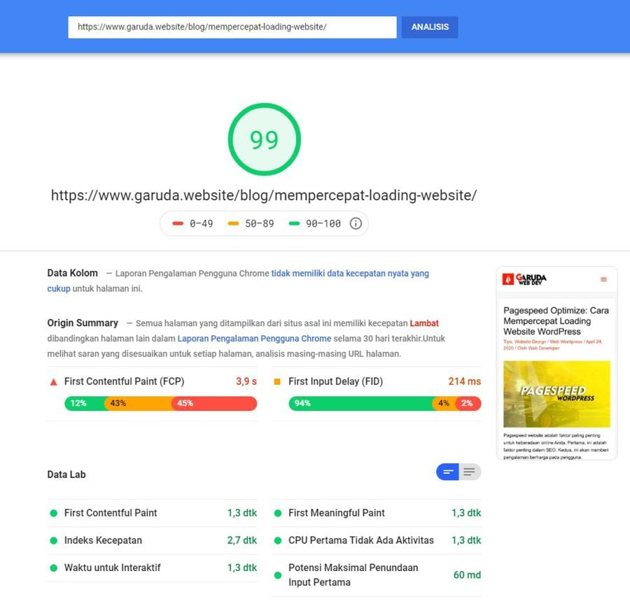Core Web Vitals: 3 Metrik Ranking Factor Google Terbaru 15 FireShot Capture 167 PageSpeed Insights cara meningkatkan kecepatan website wordpress