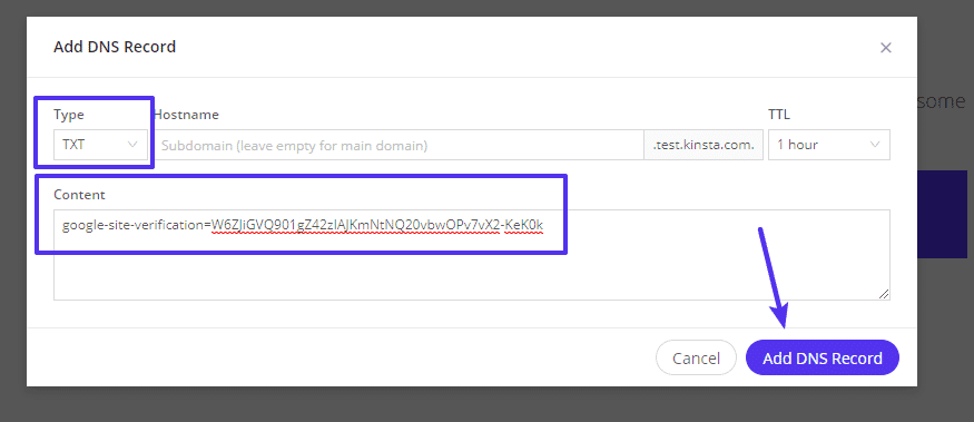 7 Cara Verifikasi Situs di Google Search Console 23 txt-record-kinsta