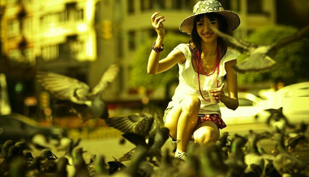 Apa itu Algoritma Google Pigeon