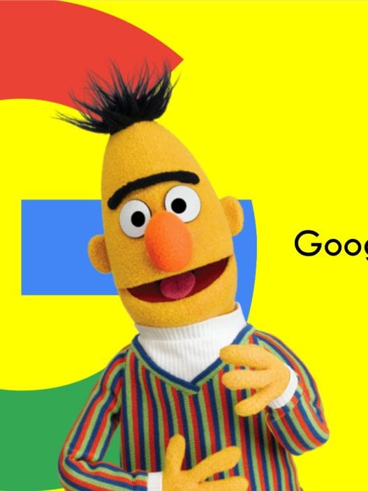 Mengenal Algoritma Google BERT & 5 Strategi Utama Untuk Mengatasinya