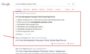 CARA DUMMING BLOG PADA BACKLINK SEO