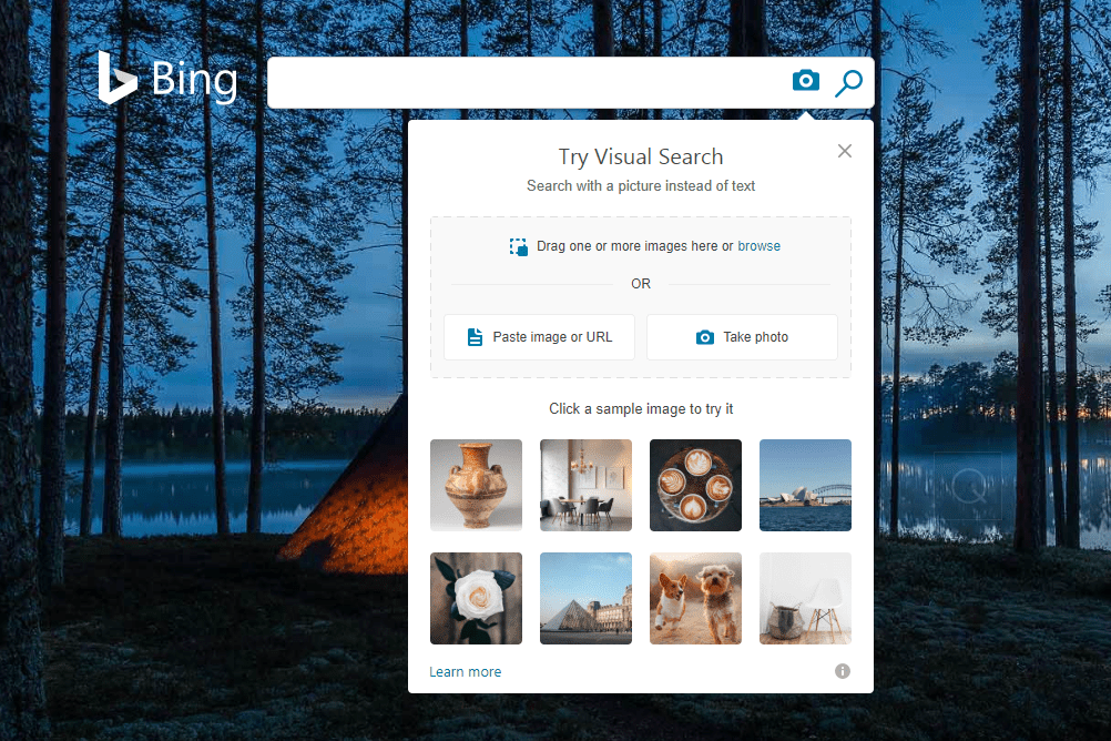 Bing Visual Search