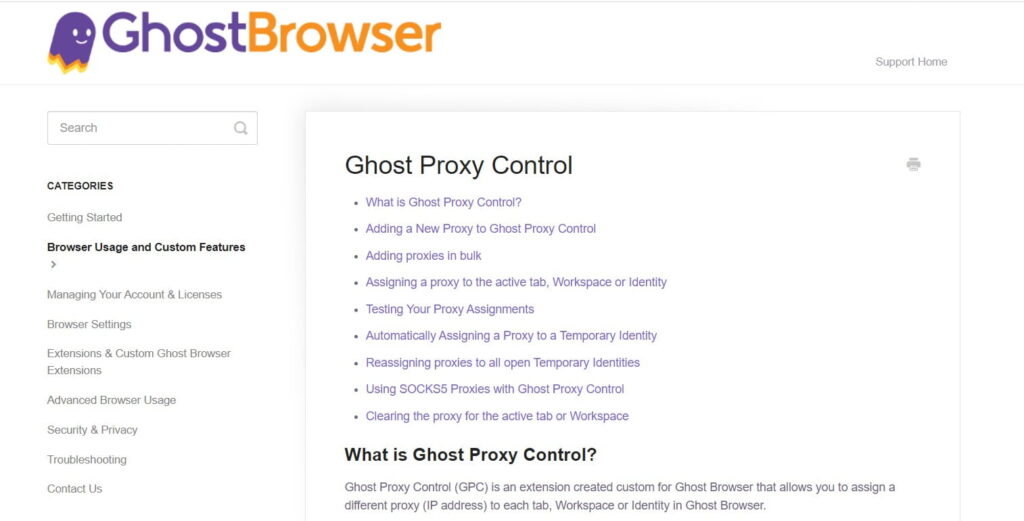 Ghost Proxy Control