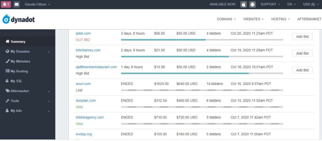 Expired Domain: Definisi + 8 Cara Mencarinya 20 Contoh-lelang-expired-domain-di-Dynadot-1024x450-1