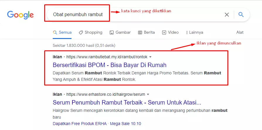 Google Display Network Google Search Network