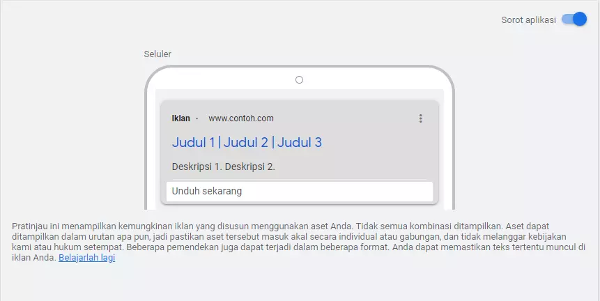 3 Manfaat Tersembunyi Ekstensi Iklan di Google Ads! 25 ekstensi iklan
