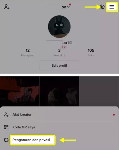 cara beralih ke TikTok pro (akun bisnis)