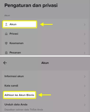 cara beralih ke TikTok pro akun bisnis 3