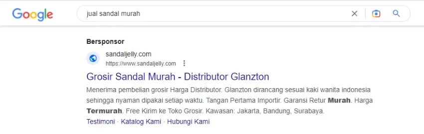 Google Search Ads: Definisi, Contoh dan Kelebihannya 17 google search ads