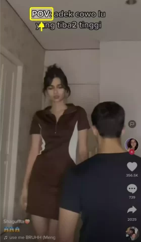 apa itu pov di tiktok