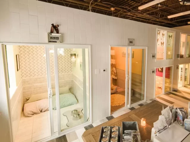 10+ Ide Bisnis Gila & Out of the Box yang Bisa Dimulai Sekarang 17 Pet Hotel
