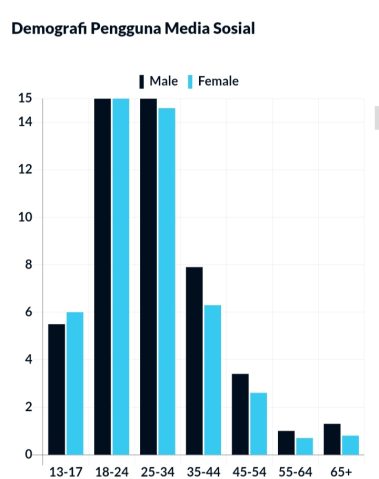 Data Pengguna Sosial Media Indonesia 2023 18 demografi Pengguna sosial media