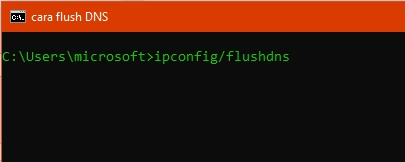 Flush DNS