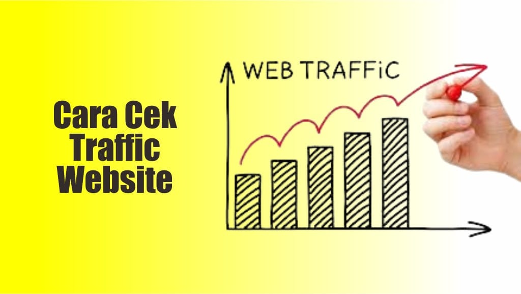 cek traffic website