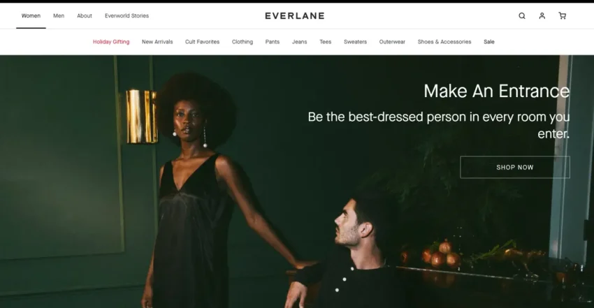 Desain Web Minimalis: Trend Terbaru + 10 Contoh Inspirasi 20 Everlane