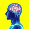Neuromarketing