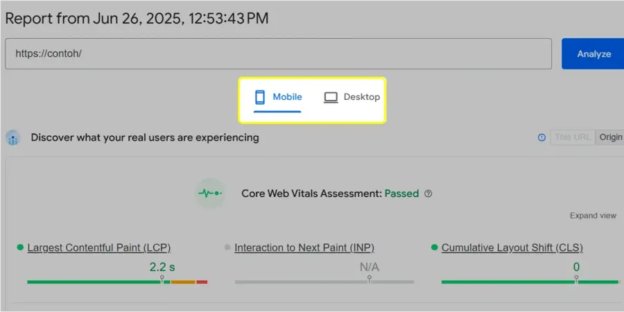 Apa Itu Largest Contentful Paint (LCP): Cara Efektif Meningkatkannya 18 PageSpeed Insights