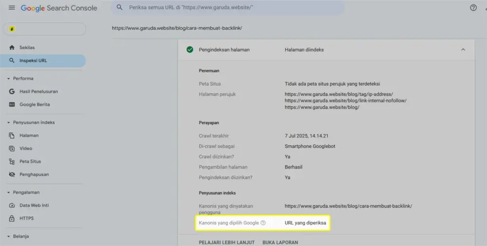 Apa Itu Negative SEO? Definisi + Strategi Efektif Menghadapinya 17 url gsc