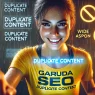 Apa Itu Duplicate Content