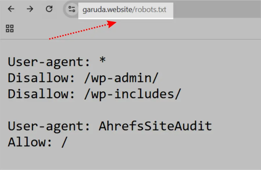 Apa Itu Robots.txt: Panduan Lengkap Pemula! 17 Cara Menemukan File Robots.txt