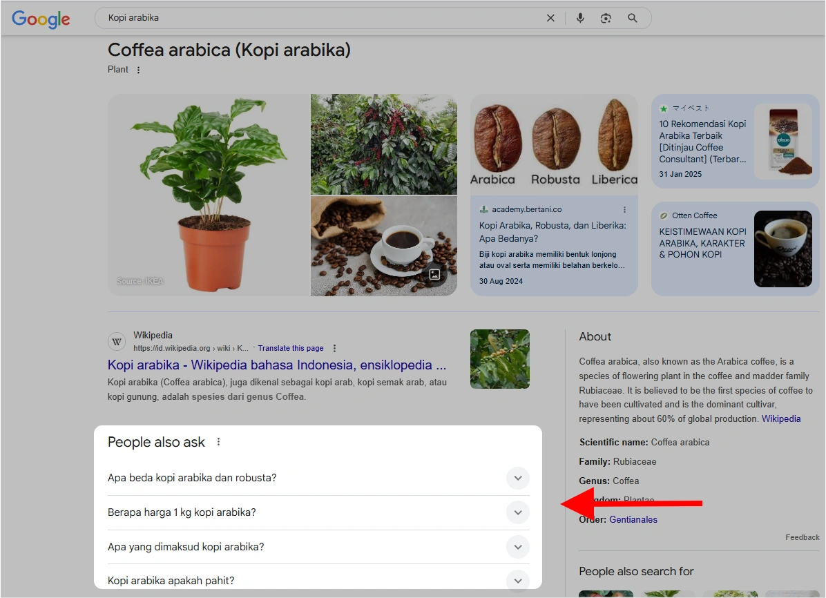 Apa Itu People Also Ask (PAA): Manfaat + Cara Efektif Mengoptimalkan 17 PPA Google