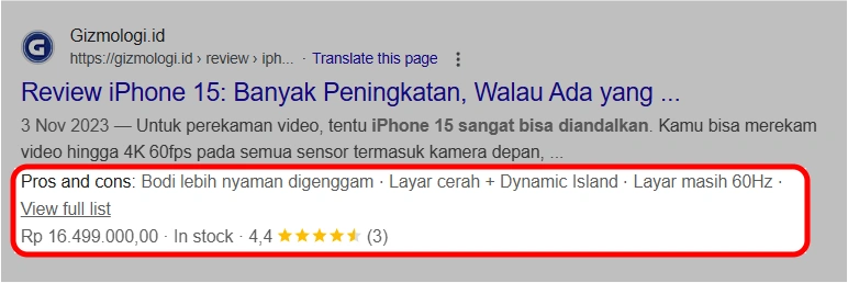 Apa Itu Rich Snippets: Fitur Penting untuk SEO 19 Review Snippet