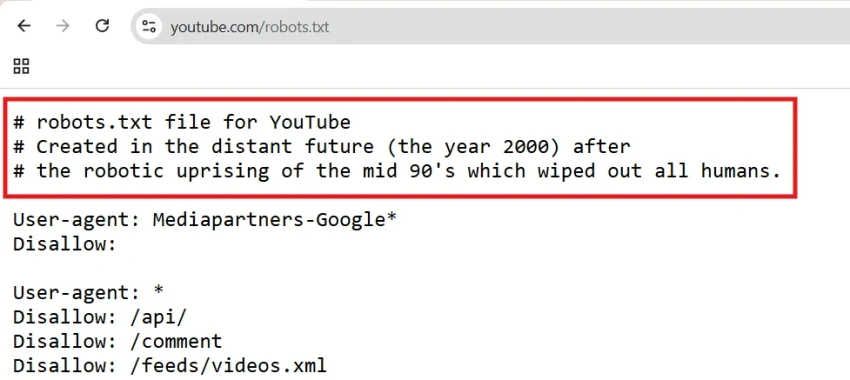 Apa Itu Robots.txt: Panduan Lengkap Pemula! 25 Robots,txt Youtube