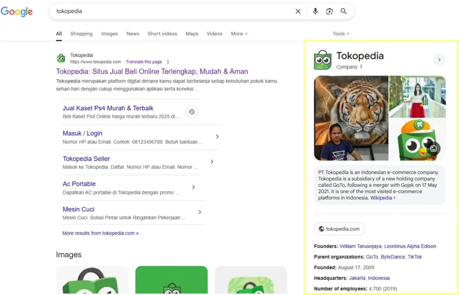 Apa Itu Google Knowledge Graph: Fungsi + Panduan Lengkap 18 Tokopedia knowledge panel