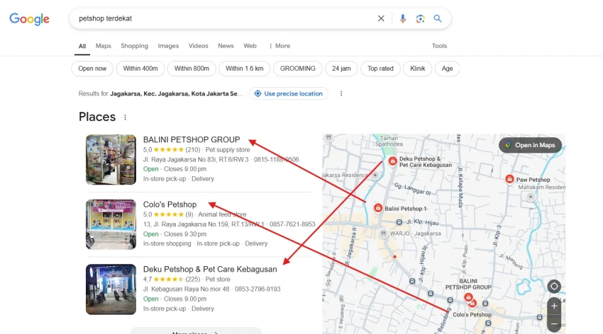 Cara Memulai Usaha Petshop: Modal + Strategi Sukses! 16 Cara Memulai Usaha Petshop