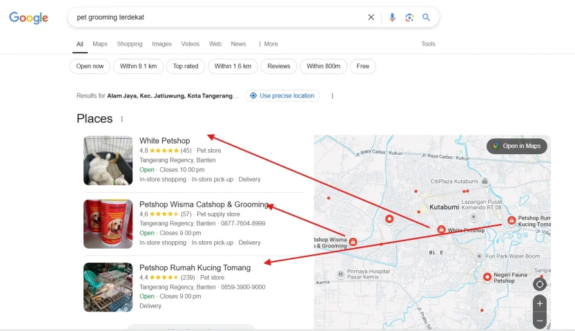 Peluang Bisnis Pet Grooming: Panduan Lengkap Untuk Pemula 18 Peluang Bisnis Pet Grooming