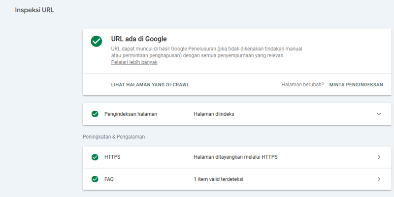 Cara Menggunakan Google Search Console Untuk SEO Teknis 18 Contoh Status