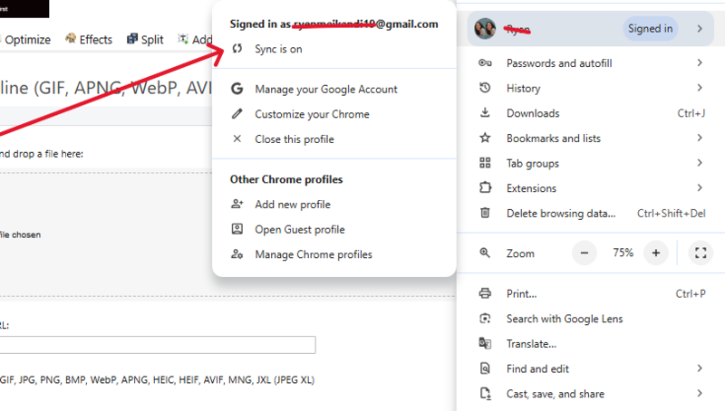 Chrome User Experience: Definisi + Panduan Lengkap Pemula! 25 Fitur Sinkronisasi Chrome