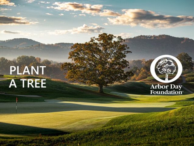 10 Contoh Iklan Layanan Masyarakat tentang Lingkungan yang Menginspirasi! 26 Iklan Plant a Tree oleh Arbor Day Foundation
