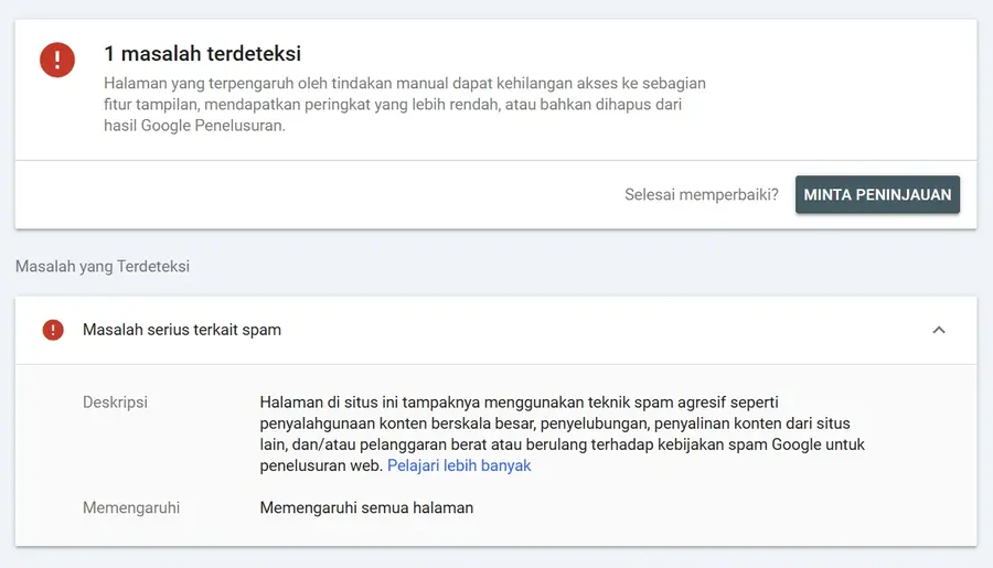 Apa Itu Google Penalty: Dampak + Strategi Terbaiknya 14 Google penalti