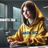 Apa Itu Robots Meta Tag